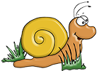 Schnecke links